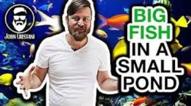 Super Affiliate System - John Crestani's Autowebinar Funnel