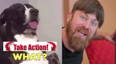 Affiliate Marketing Marketing Easy-With John Crestani 👏