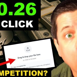 I Found Non Competetive Traffic In A $12.5 Billion Dollar Niche Market!